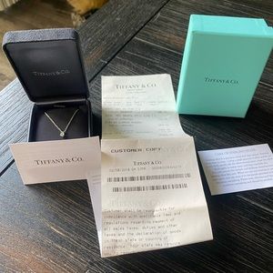 Tiffany & Co. platinum Diamond pendant w necklace with Tiffany’s chain